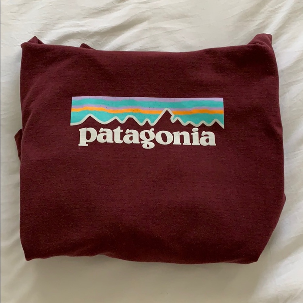 patagonia sweatshirt